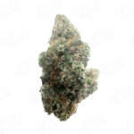 SLH X Gello (Zaza Exotic)