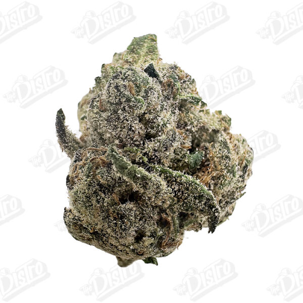 Blue Jam (Zaza Exotic)