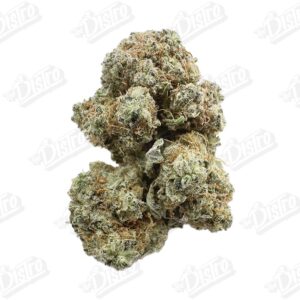 Gorilla Glue #4 (Value)