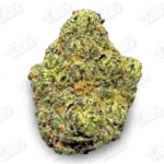 Blue Nerds Zushi (Mid-Premium)