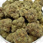 Blue Nerds Zushi (Mid-Premium)