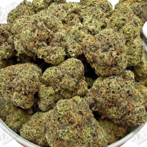 Blue Nerds Zushi (Mid-Premium) - 2