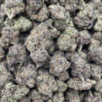 AAA Kings Flower - Curelato