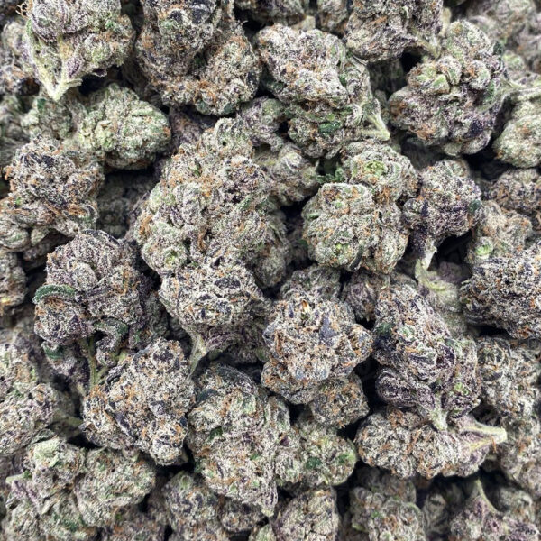 AAA Kings Flower - Curelato