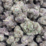 AAA Kings Flower - Fuzumaki