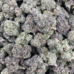 AAA Kings Flower - Lemon Cherry Gelato