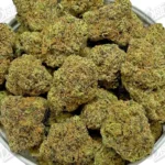 Candy Gas (Mid-Premium)