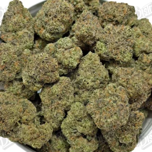 Mochi (Mid-Premium) - 2