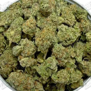 Lemon Popper 'Smalls' (Value)