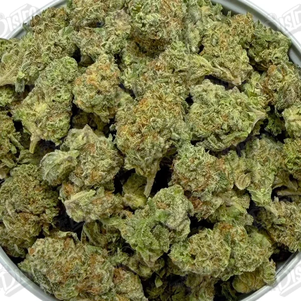 Lemon Popper 'Smalls' (Value)