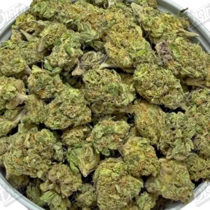 Sunset Sherbet 'Smalls' (Value)