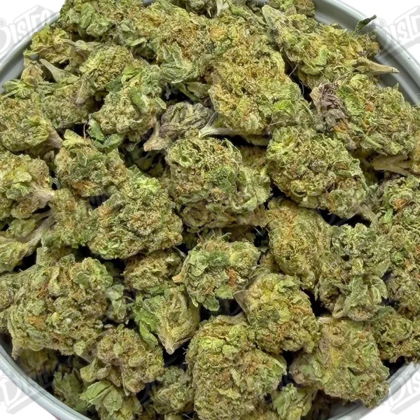 Sunset Sherbet 'Smalls' (Value)