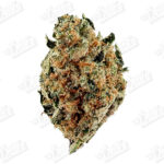 Train Wreak (Top-Shelf)