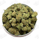 Lemon Popper 'Smalls' (Value)