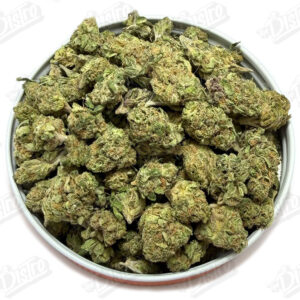 Sunset Sherbet 'Smalls' (Value)