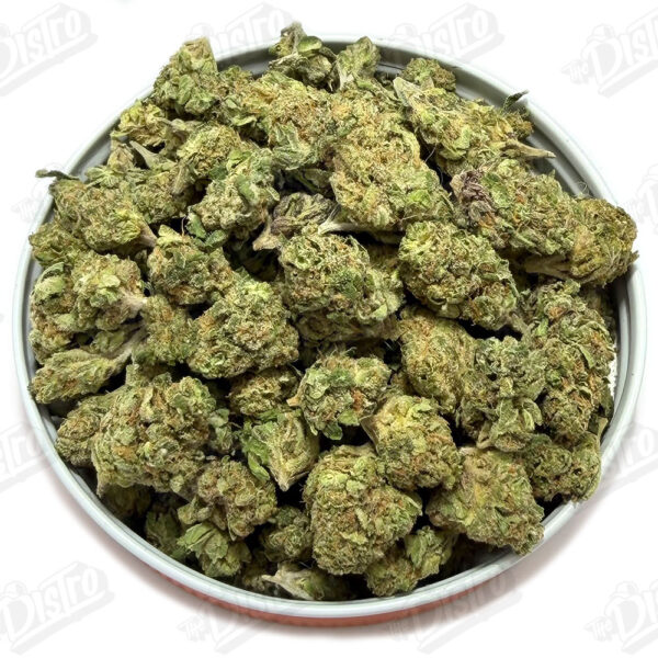 Sunset Sherbet 'Smalls' (Value)