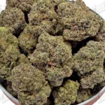 Candy Land (Mid-Premium)