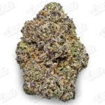 Lulu Lemon (Mid-Premium)