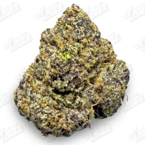 Gas Face (Mid-Premium)