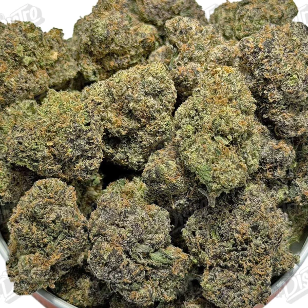 Gas Face (Mid-Premium)