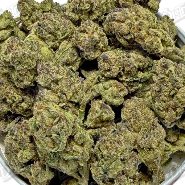 Cherry Sherbet (Mid-Premium)