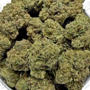 Trap Cherry (Mid-Premium) - 2