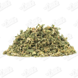 Mystery House Shake (Value)