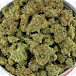 Off White OG 'smalls' (Value)