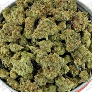 Off White OG 'smalls' (Value)