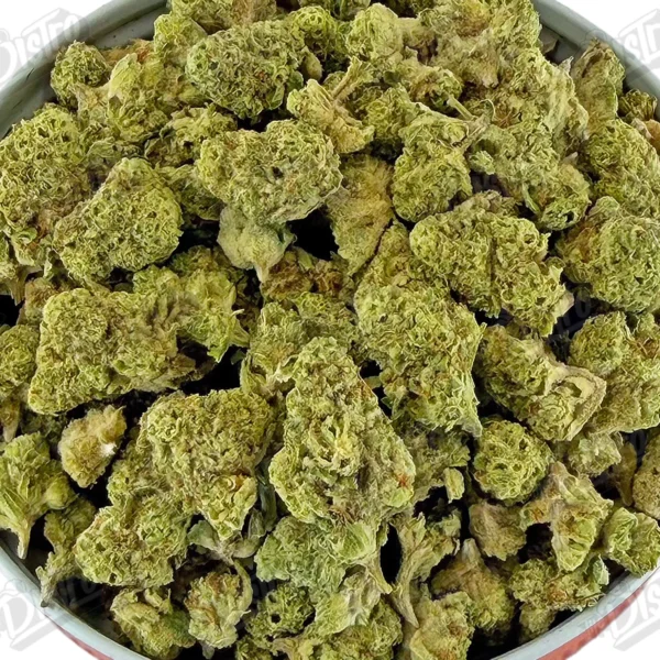 Papaya Punch 'smalls' (Value)