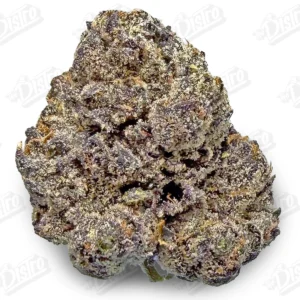 Purple Snow Blast (Zaza Exotic)
