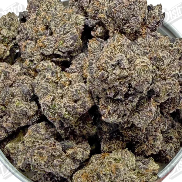 Purple Snow Blast (Zaza Exotic)