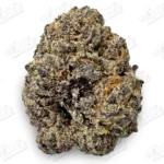 Pink Bubblegum (Zaza Exotic)