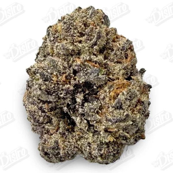 Pink Bubblegum (Zaza Exotic)