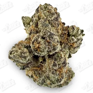 Gelato 41 (Zaza Exotic)