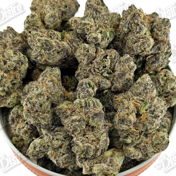 Gelato 41 (Zaza Exotic)