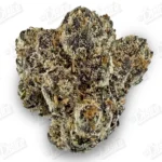 Cake Crasher (Zaza Exotic)