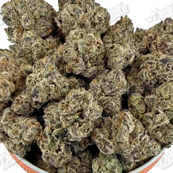 Purple Tangie (Zaza Exotic)