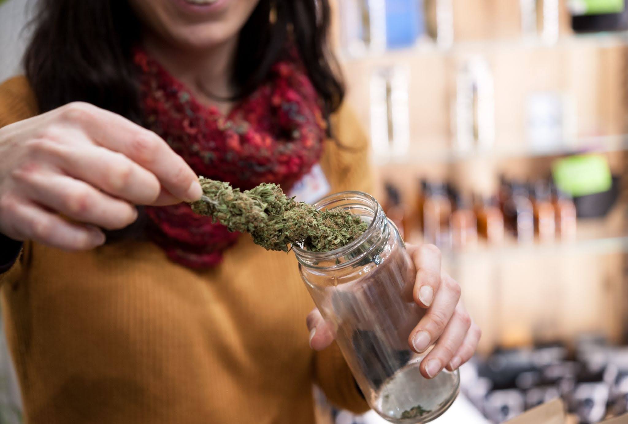 Cannabis Sativa blossom stored in a glass jar.