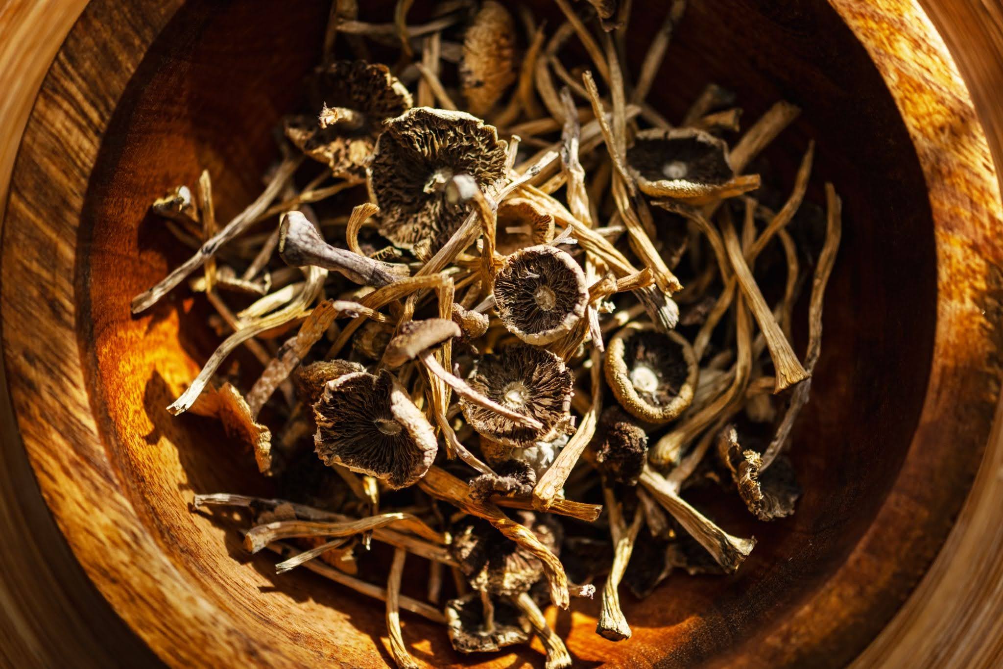 Dried magic mushrooms in a wooden bowl