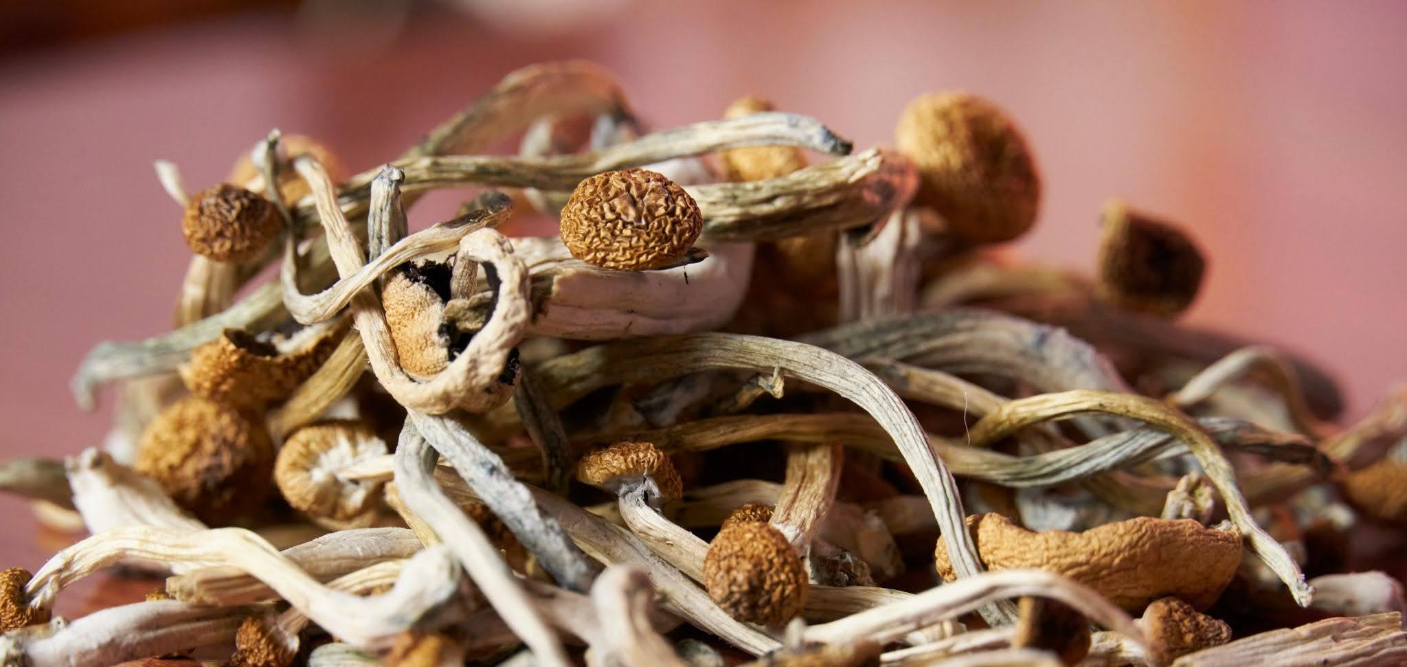 Dried mushrooms on a table