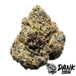 Gas Face (Mid-Premium)