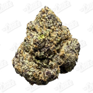 Gas Face (Mid-Premium)