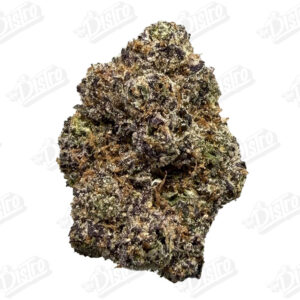 Lulu Lemon (Mid-Premium)