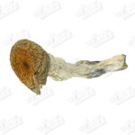 420 Shrooms 2Oz Bundle