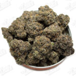 Pink Bubblegum (Zaza Exotic)