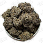 Purple Snow Blast (Zaza Exotic)