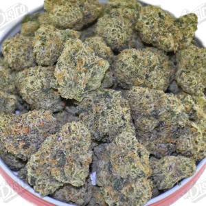 Cheetah Piss DSC_0172