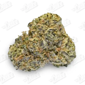 Cheetah Piss (Top-Shelf)