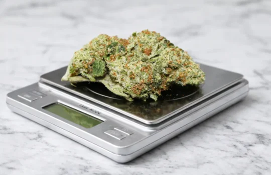 How Much Is an Ounce of Weed The Complete Cannabis Price Guide (2026)
